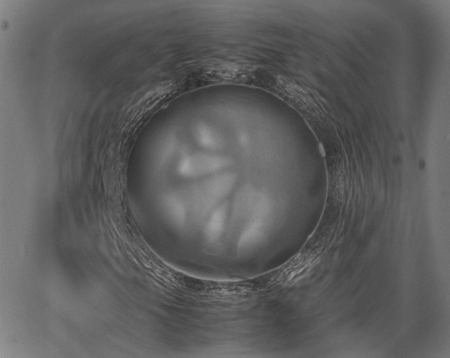 X0000064041105200601271155