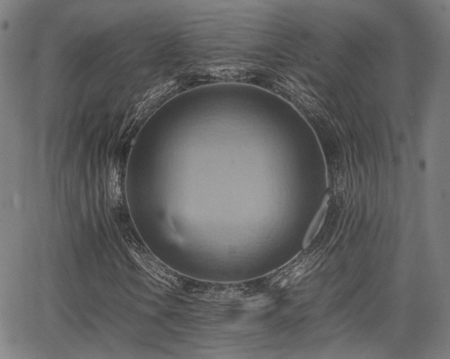 X0000064041106200601271155