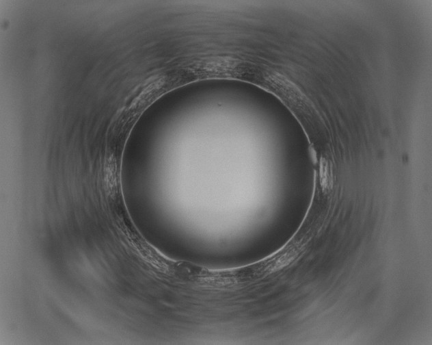 X0000064041107200601271155