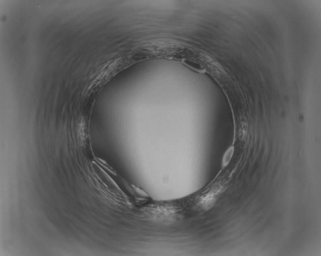 X0000064041108200601271155