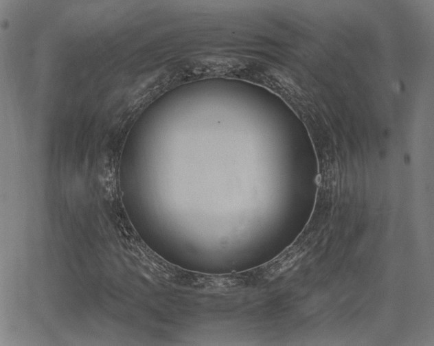 X0000064041109200601271155