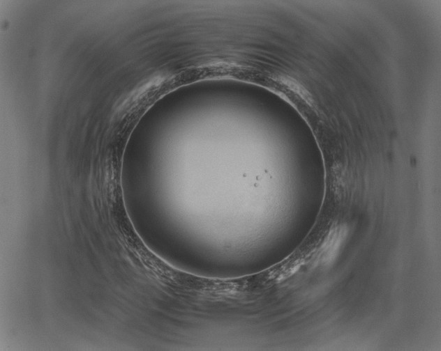 X0000064041111200601271155