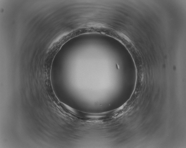 X0000064041112200601271155