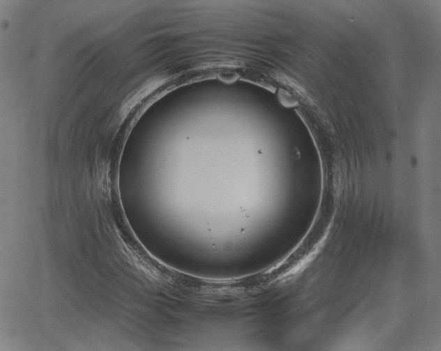 X0000064041113200601271155