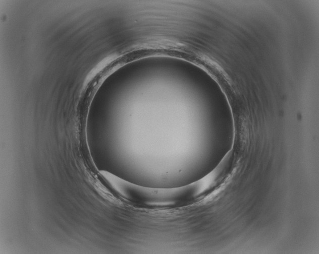 X0000064041114200601271155