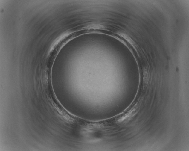 X0000064041115200601271155