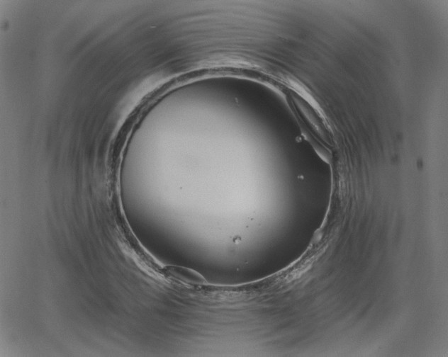 X0000064041116200601271155