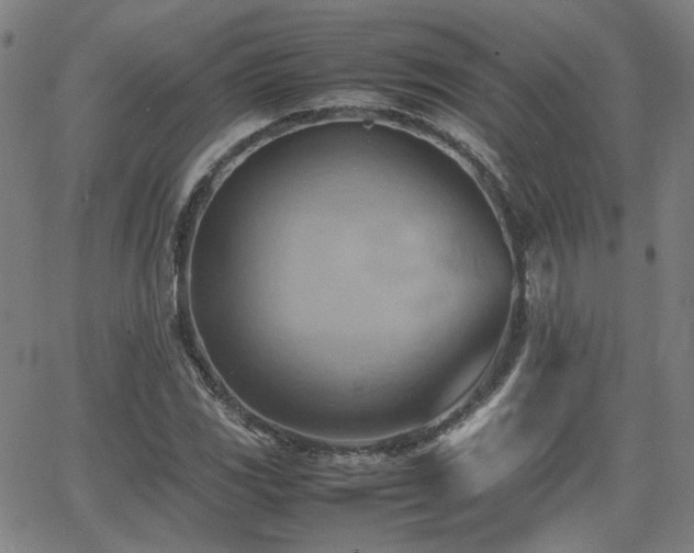 X0000064041117200601271155