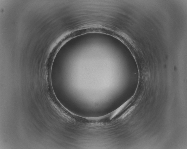 X0000064041118200601271155