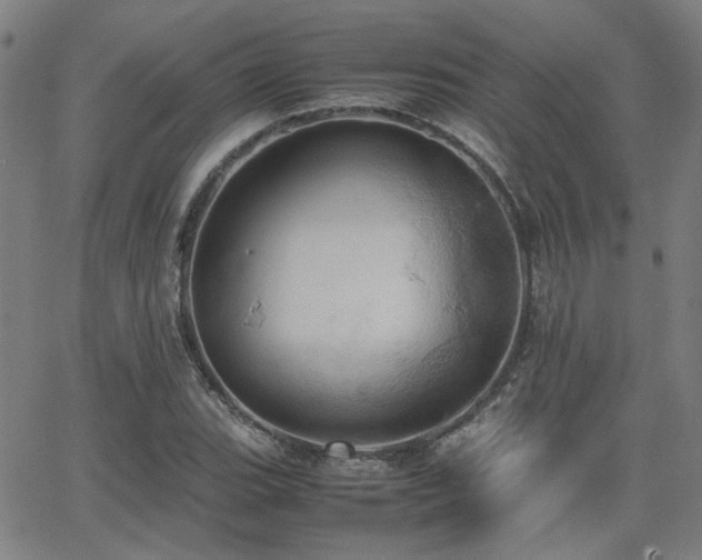 X0000064041119200601271155