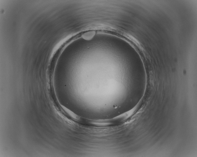 X0000064041120200601271155