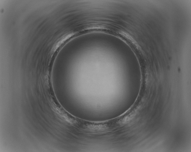 X0000064041121200601271155