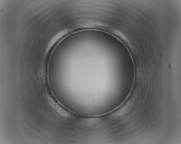 X0000064041122200601271155