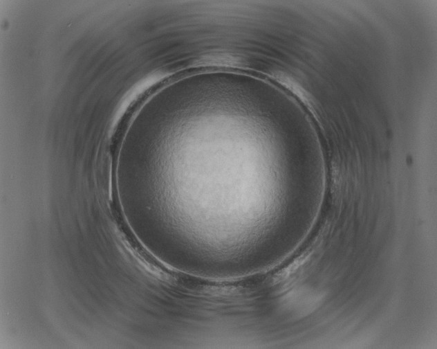 X0000064041123200601271155