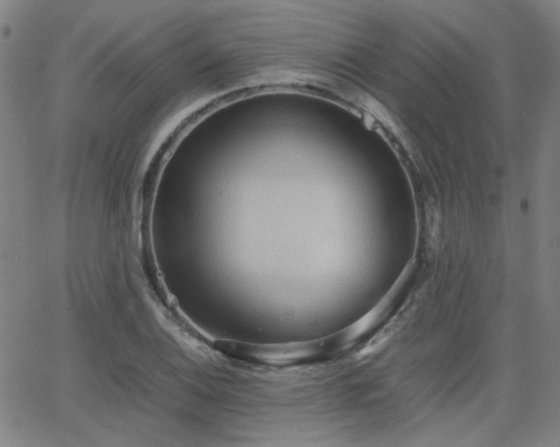 X0000064041124200601271155