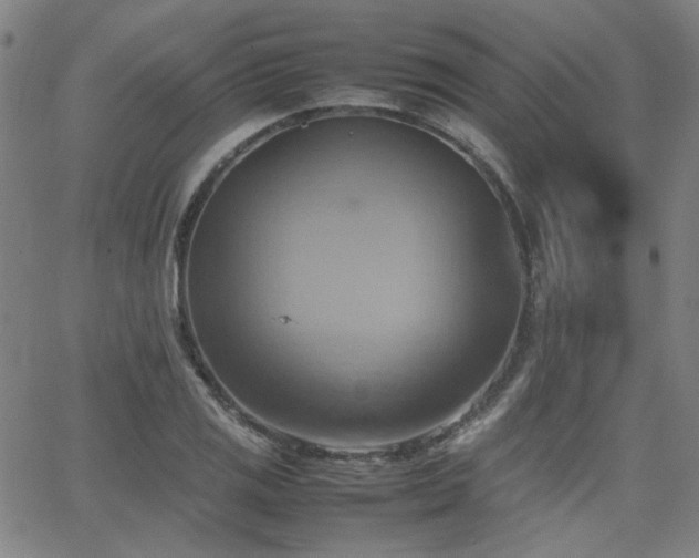 X0000064041125200601271155