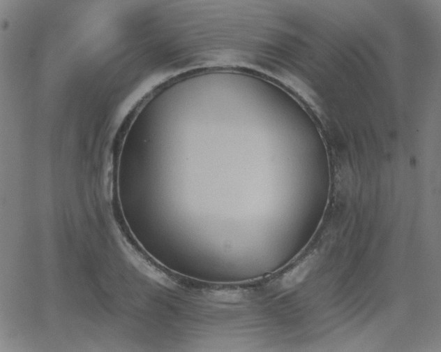 X0000064041126200601271155