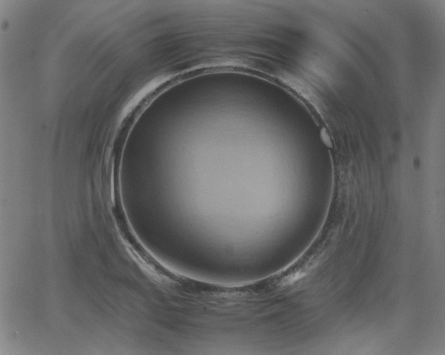 X0000064041127200601271155