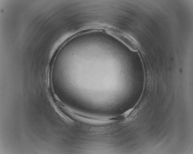 X0000064041128200601271155