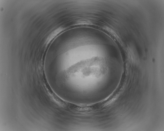 X0000064041129200601271155