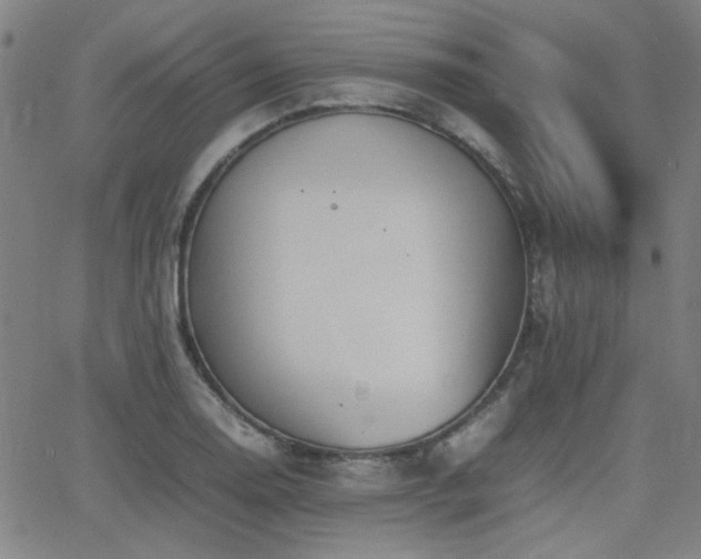 X0000064041130200601271155