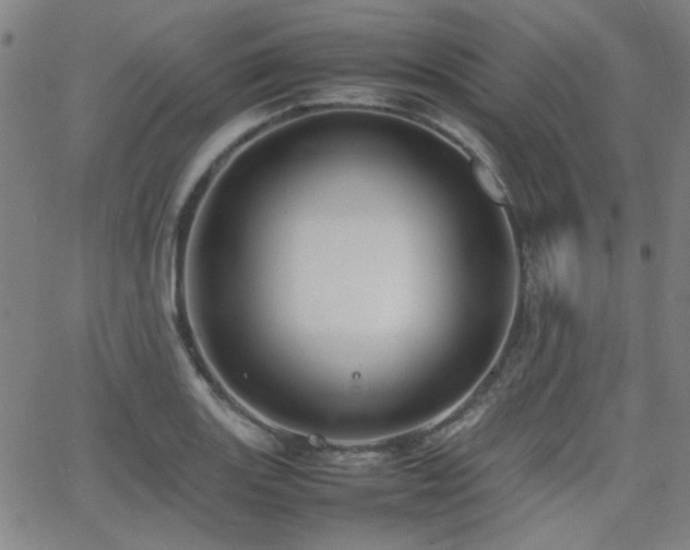 X0000064041131200601271155