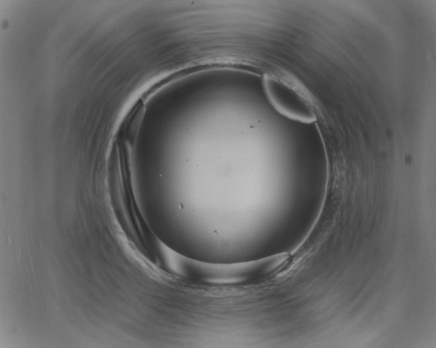 X0000064041132200601271155