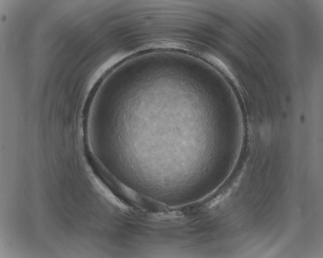 X0000064041133200601271155