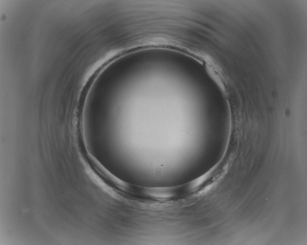 X0000064041134200601271155