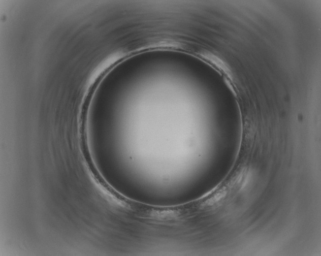 X0000064041135200601271155