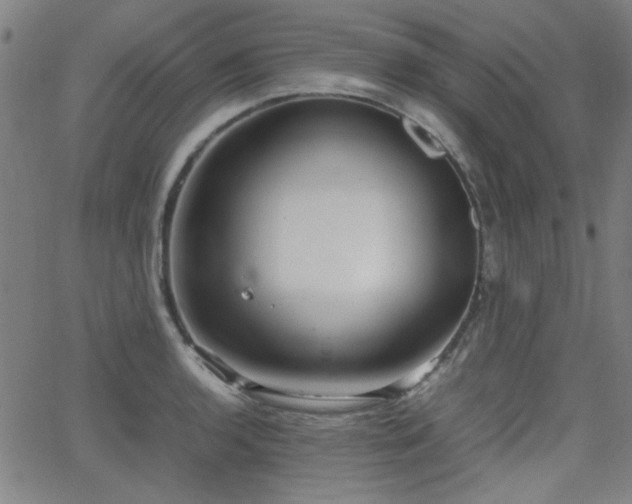 X0000064041136200601271155