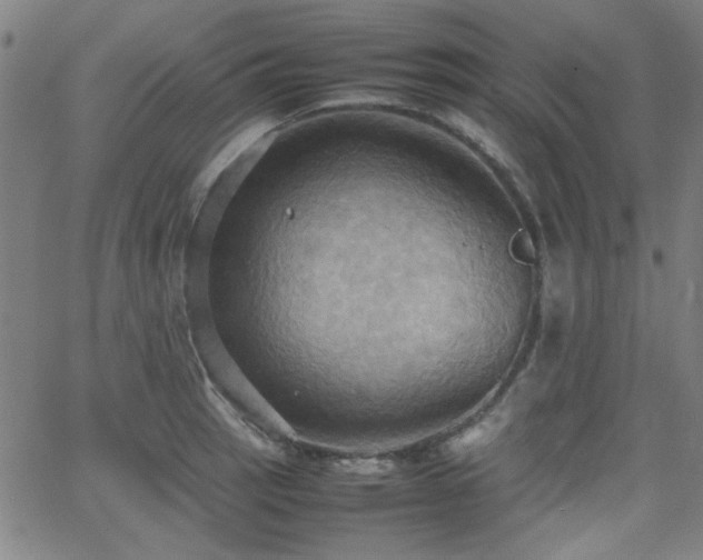 X0000064041137200601271155