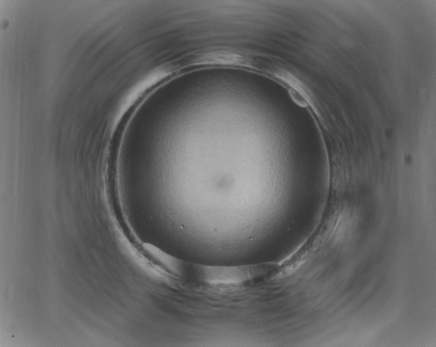 X0000064041139200601271155