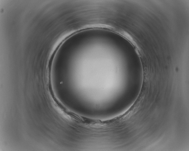 X0000064041140200601271155