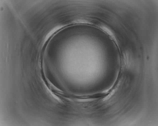 X0000064041141200601271155