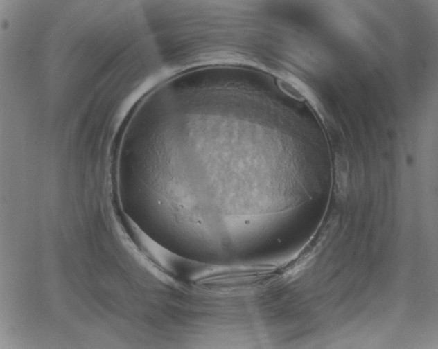 X0000064041142200601271155