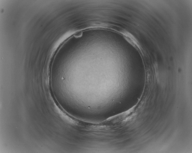 X0000064041143200601271155