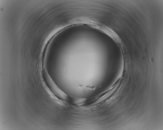 X0000064041144200601271155