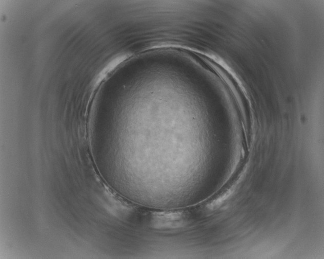 X0000064041145200601271155