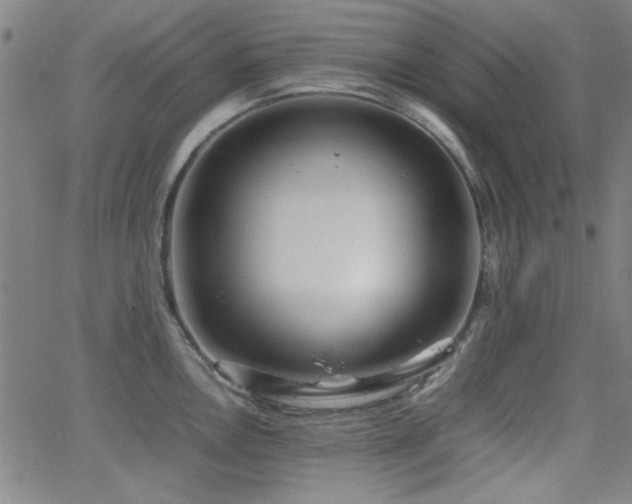 X0000064041146200601271156