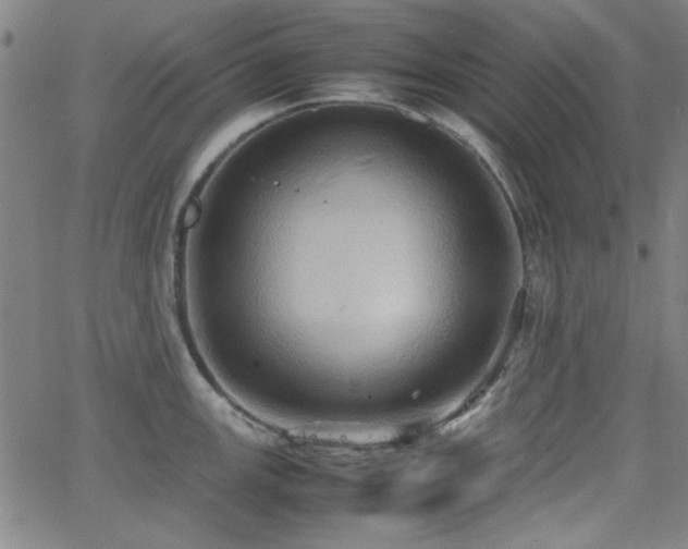 X0000064041147200601271156