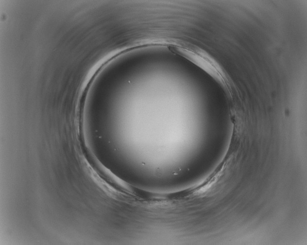 X0000064041148200601271156