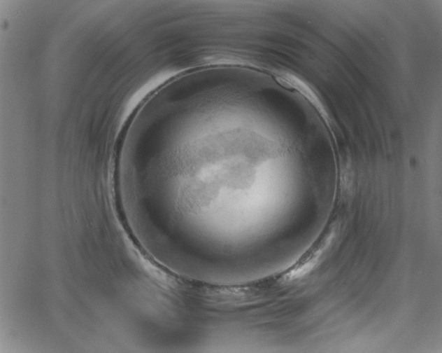 X0000064041149200601271156