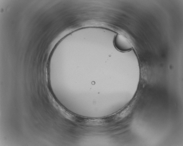 X0000064041150200601271156