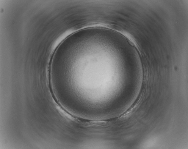 X0000064041151200601271156