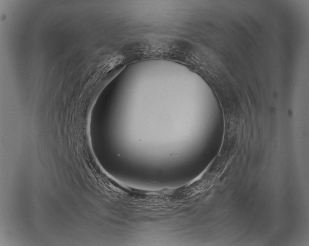 X0000064041153200601271155