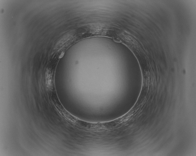 X0000064041154200601271155