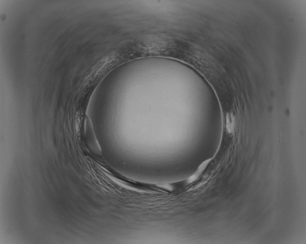 X0000064041155200601271155