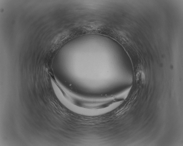 X0000064041156200601271155