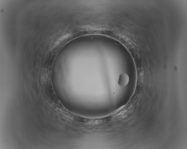 X0000064041157200601271155